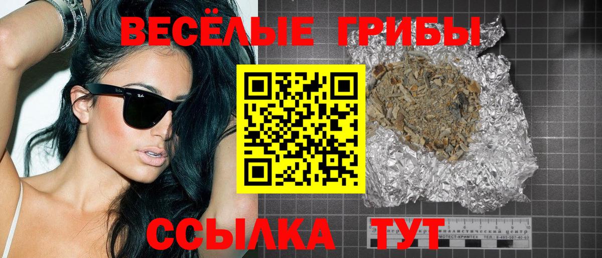 Псилоцибиновые грибы Psilocybe Новодвинск